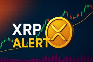 著名的加密分析师向XRP投资者发出严格警告