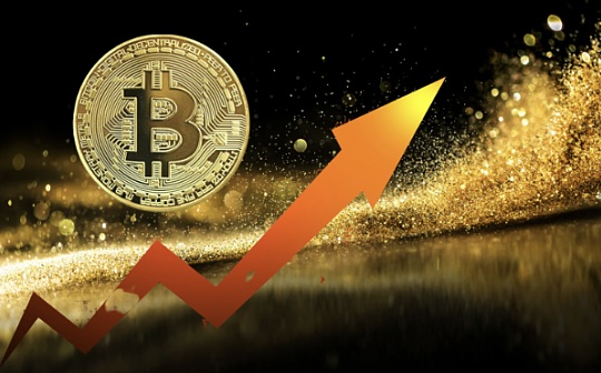 币圈ieo什么意思 | IEO(首次交易所发行)机制与特点解析