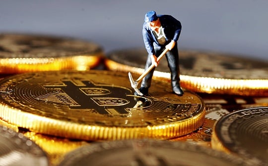 VGS币种解析与实时价格走势分析
