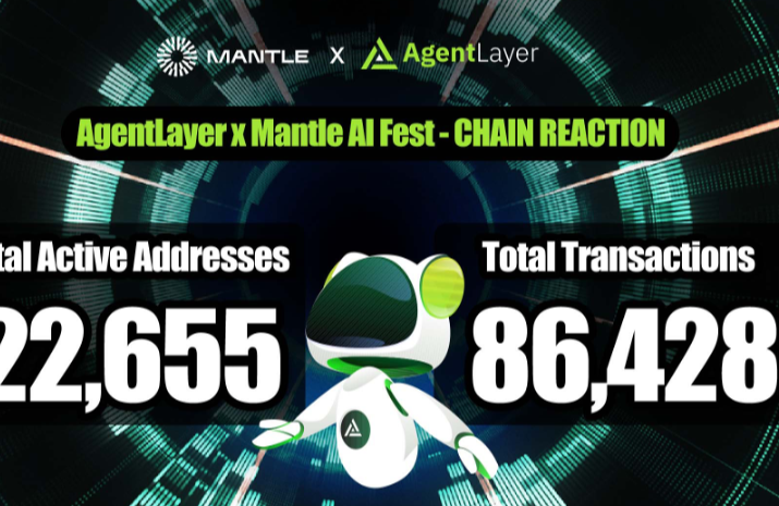 最佳稳定币选择 | 主流稳定币投资对比
