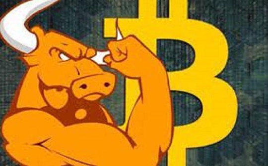 币圈稳赚不赔怎么办 | 区块链投资风险管理指南