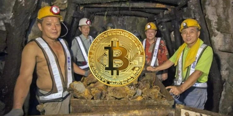 FP币价格走势探讨 | 预测与投资前景
