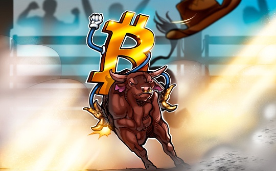 北交所启动交易 | 北交所开户投资流程详解
