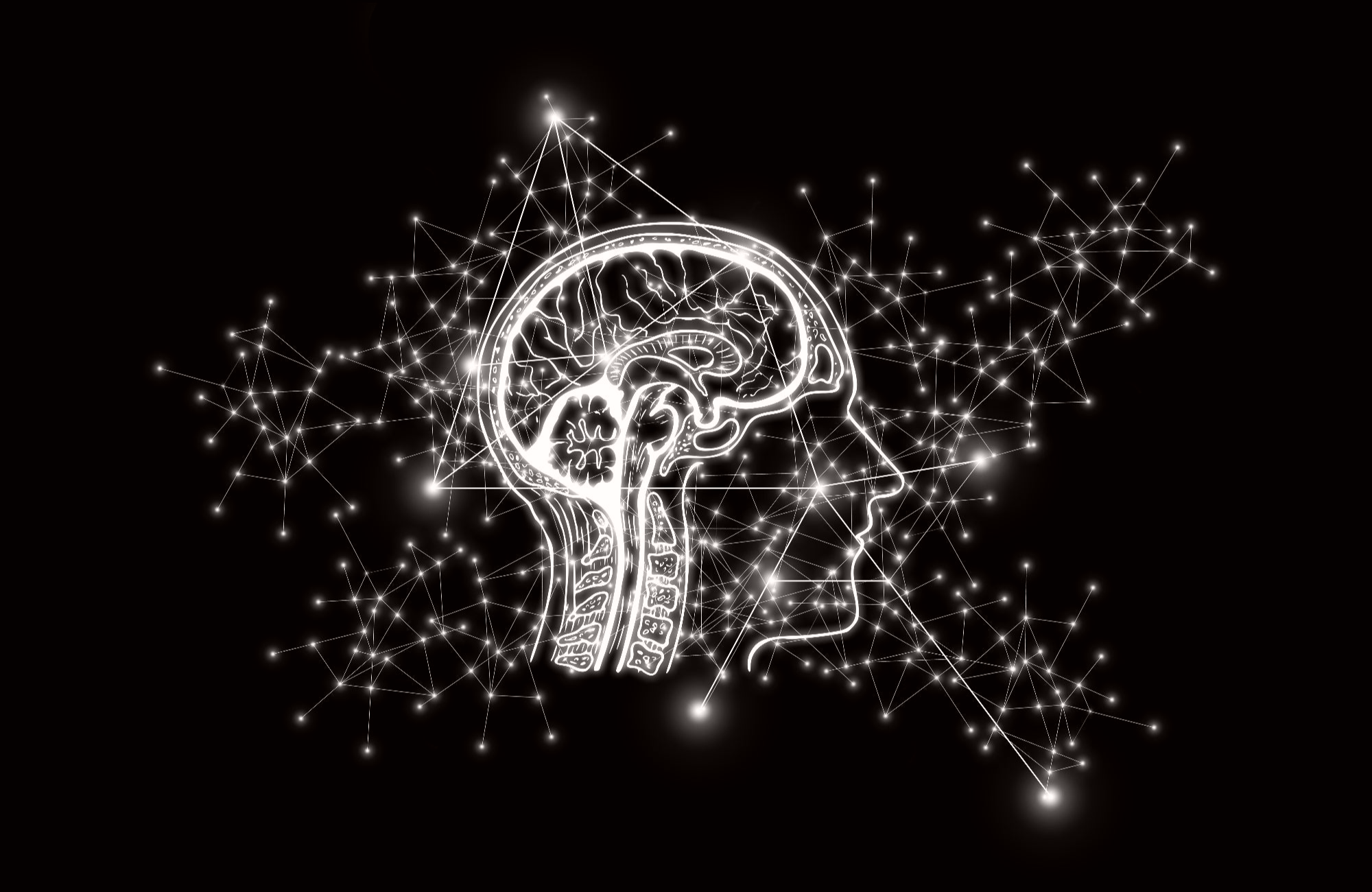 BHDM币解析 | 区块链新兴数字资产介绍
