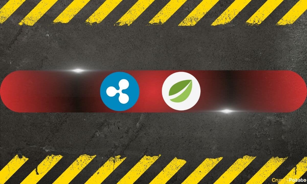 北交所打新和沪深打新有什么区别 | A股市场新股申购对比分析