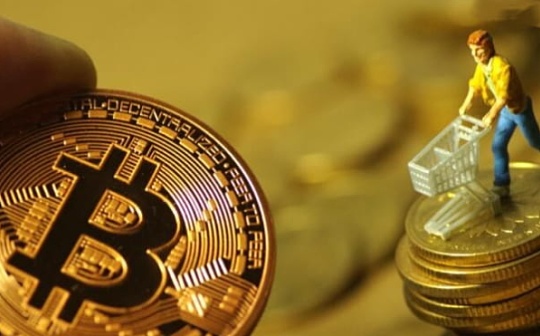 IFC币交易平台解析：哪里可以购买IFC币
