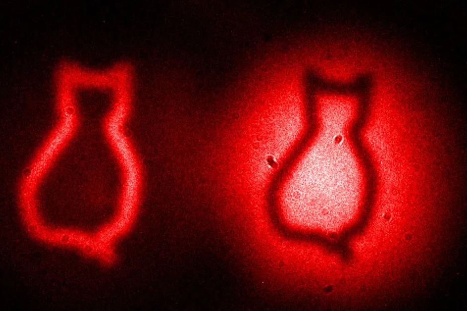 USDT出入金安全指南 | 币圈资金流动风险评估
