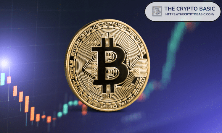 泰达币价值怎么算出来的 | 深入解析泰达币价格锚定机制
