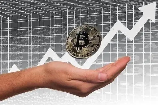 币圈分叉是什么意思 | 加密货币分叉投资策略全解析
