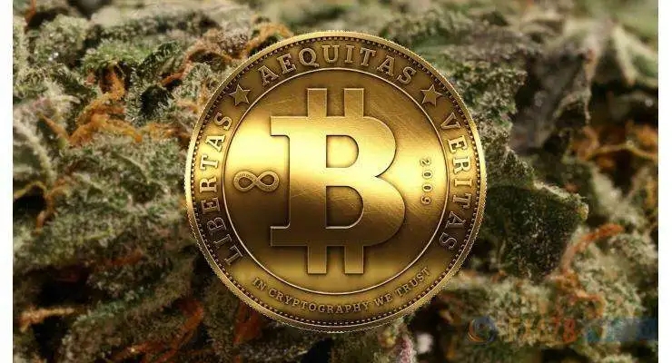 USDT购买渠道选择指南 | 如何获取最优惠的USDT价格
